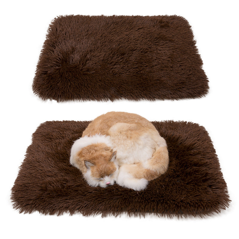 Pet Beds & Comfort