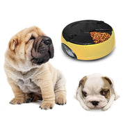 6 Meal Pet automatic feeding machine